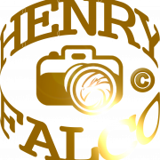 Henry Falco
