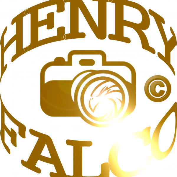 Henry Falco Photographe